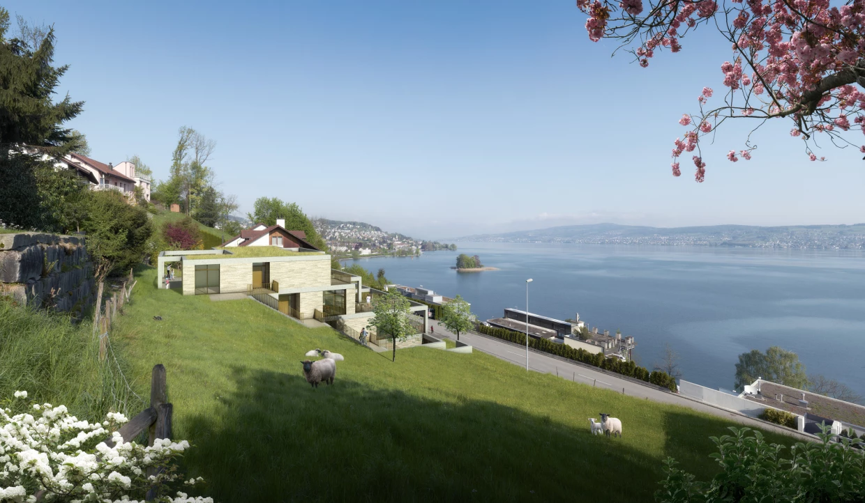 Modernes Haus mit Seeblick auf grüner Wiese