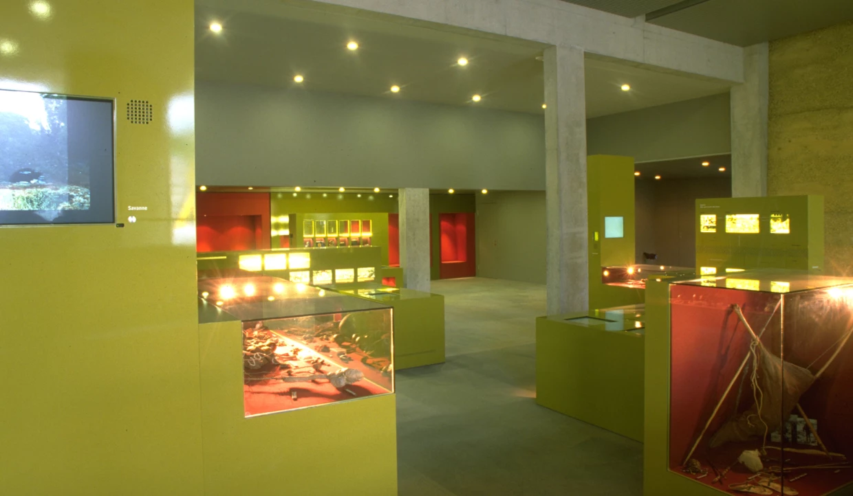 Ausstellungsraum mit beleuchteten Vitrinen