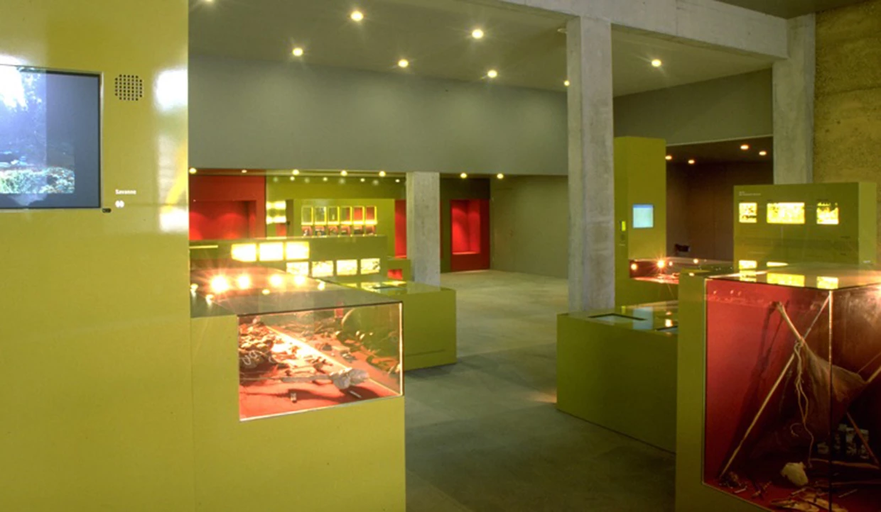 Moderne Ausstellung mit Vitrinen und Bildern