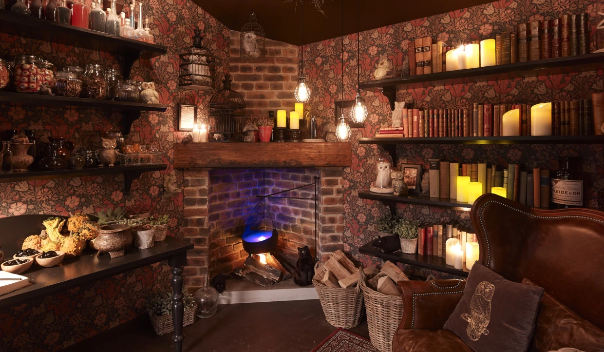 Gemütliches Wohnzimmer mit Kamin und Regalen